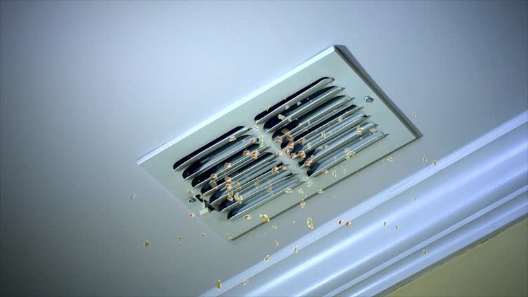 Best Commercial Air Duct Cleaning  in Clinton, IA