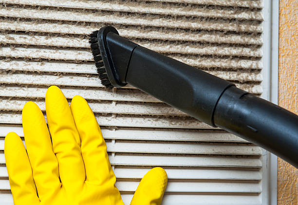 Air Duct Mold Removal in Clinton, IA